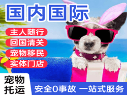 三女河机场邮寄国际宠物托运 【国